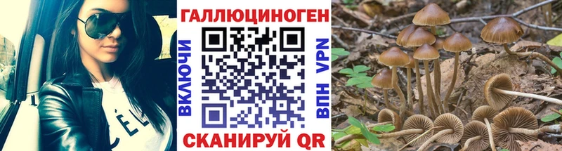 Галлюциногенные грибы Cubensis  как найти   блэк спрут ONION  Мышкин 